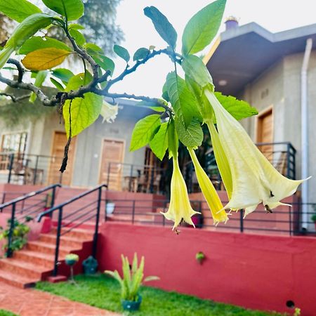 Marangu Babylon Lodge מראה חיצוני תמונה