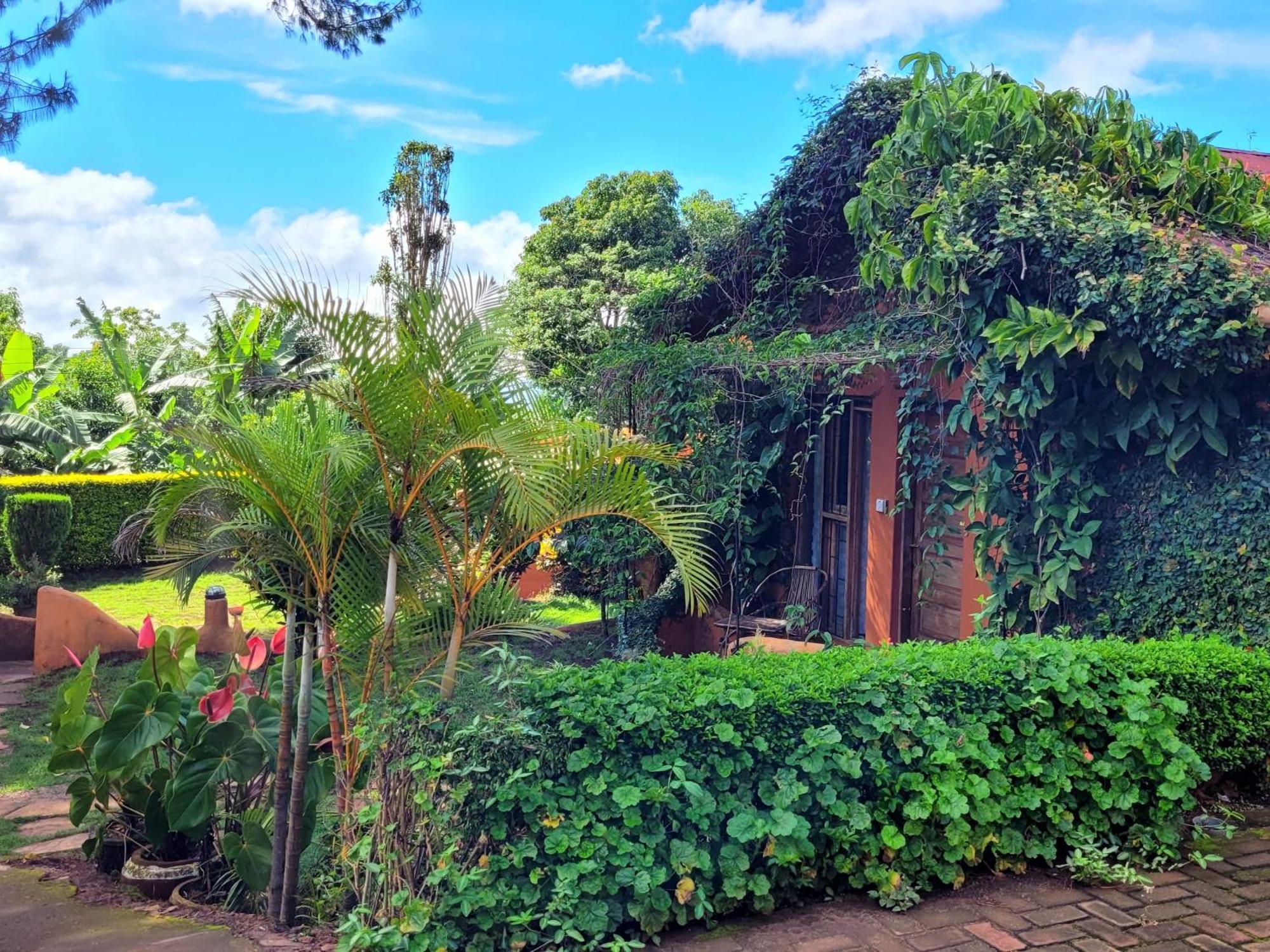 Marangu Babylon Lodge מראה חיצוני תמונה