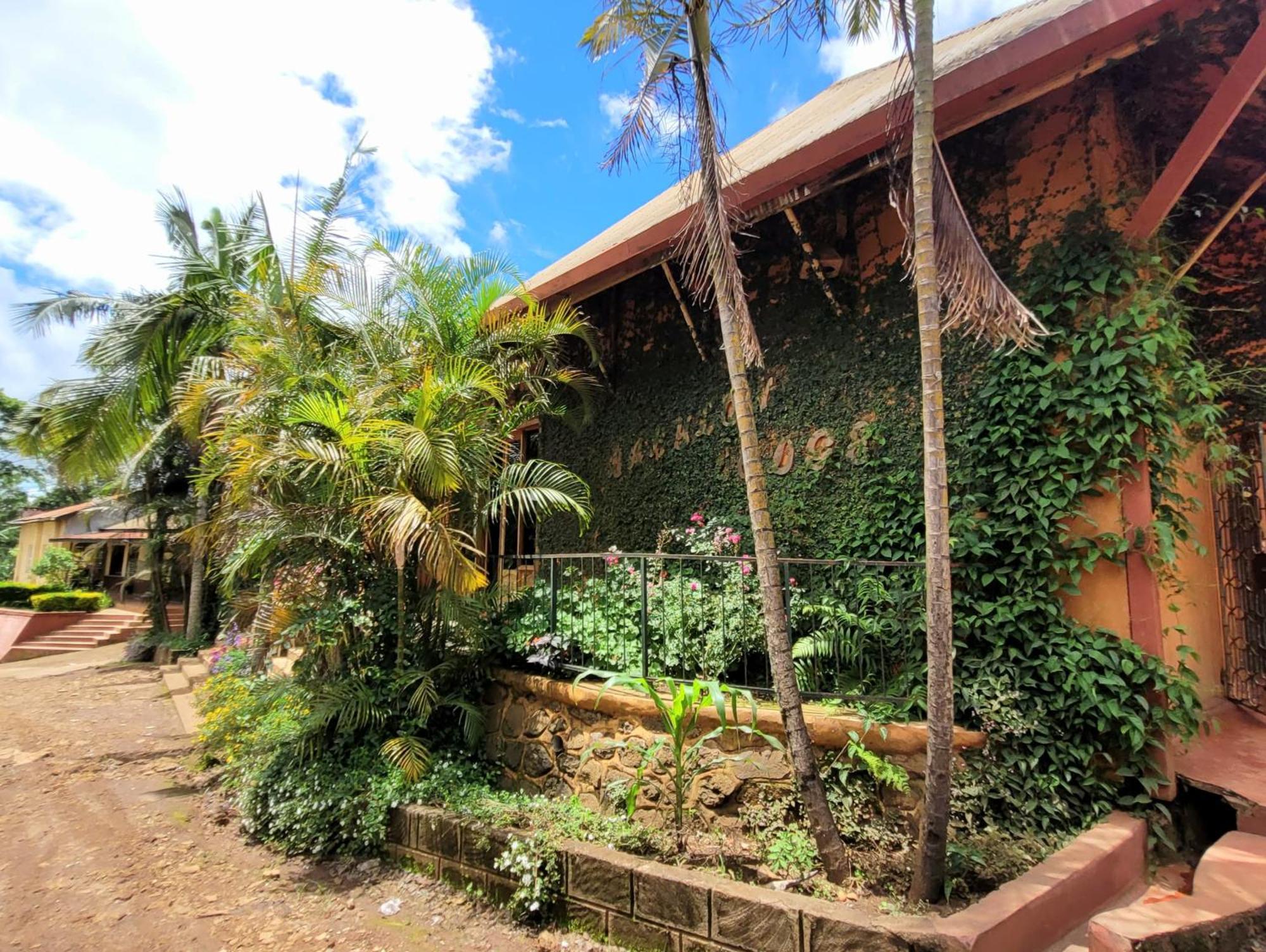 Marangu Babylon Lodge מראה חיצוני תמונה