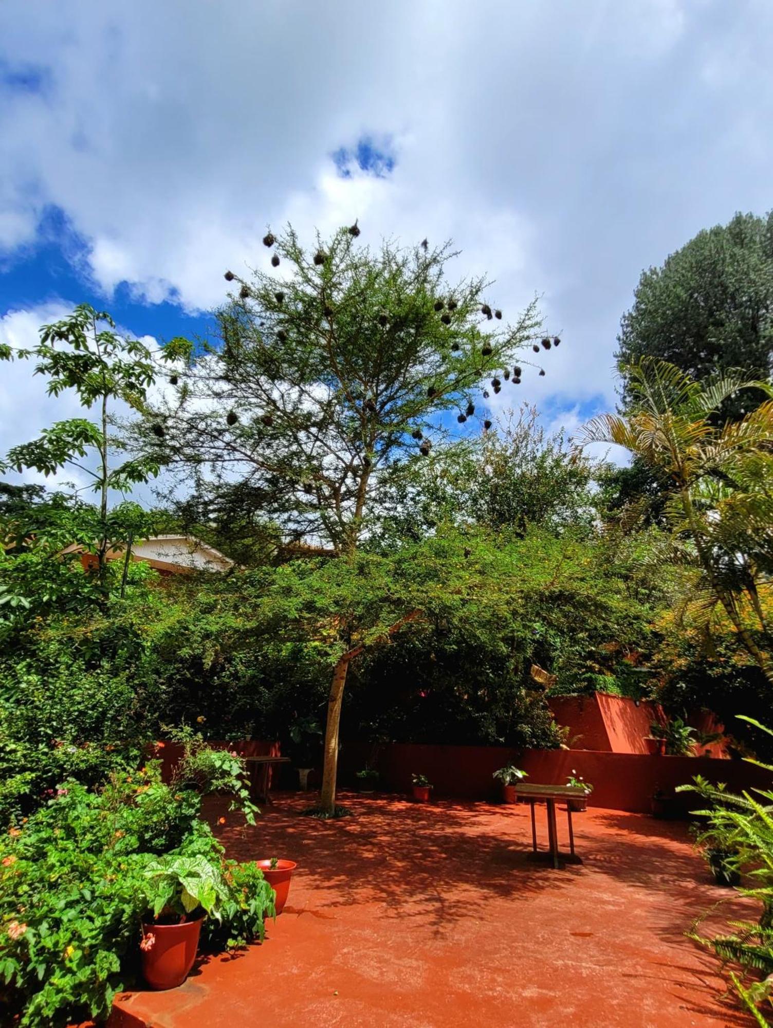 Marangu Babylon Lodge מראה חיצוני תמונה