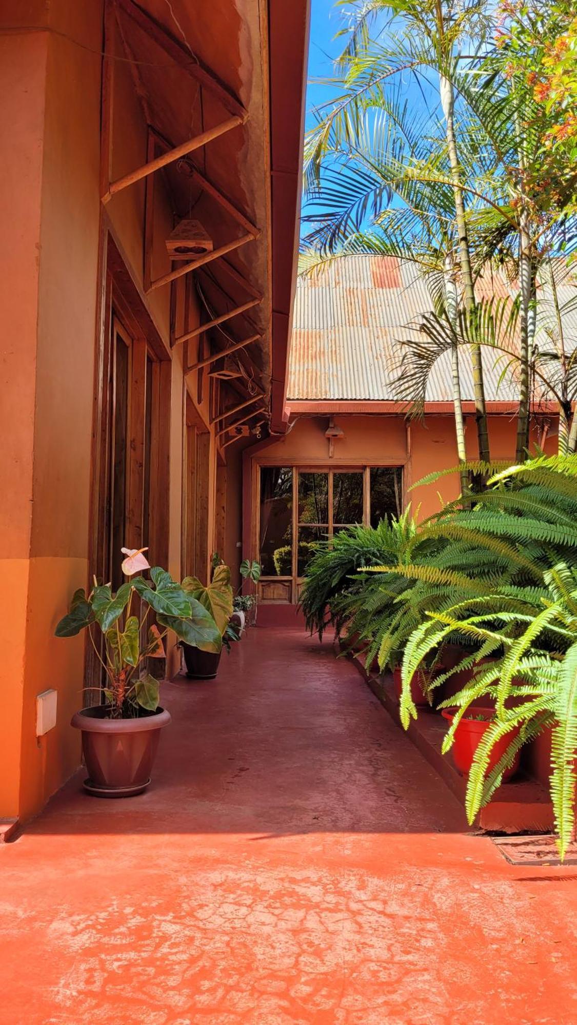 Marangu Babylon Lodge מראה חיצוני תמונה