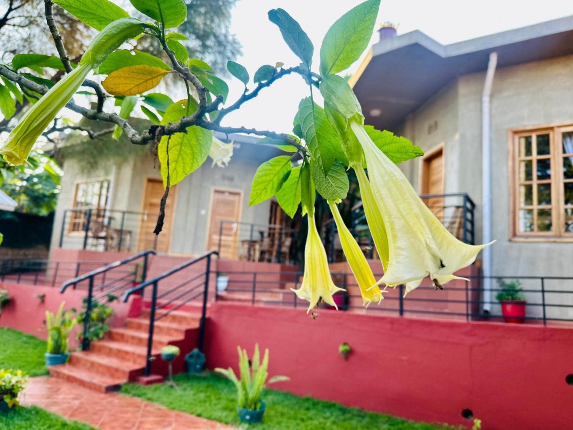 Marangu Babylon Lodge מראה חיצוני תמונה